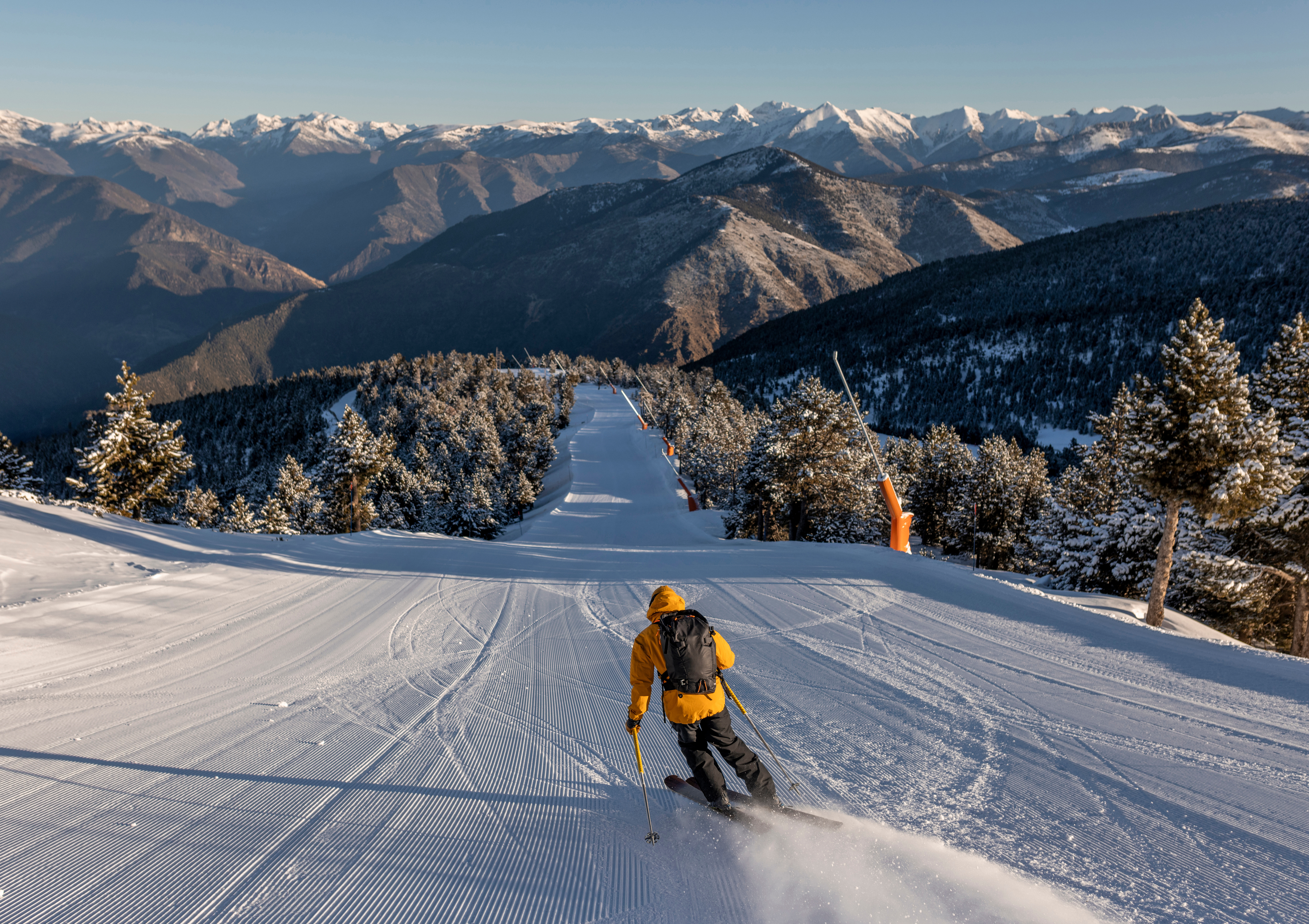 Skier in yellow jacket carving down a groomed slope in the European Alps with snow-covered trees and mountain views under a clear sky