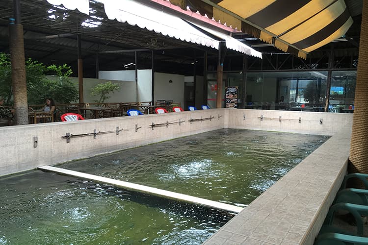 エビの釣堀