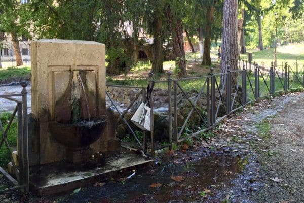 道端にある噴水や出っ放しの水は、飲める！？
