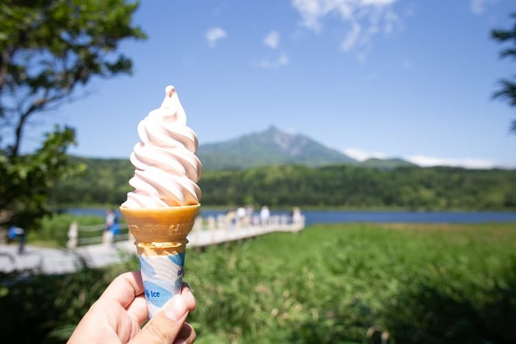 はまなすソフトクリーム