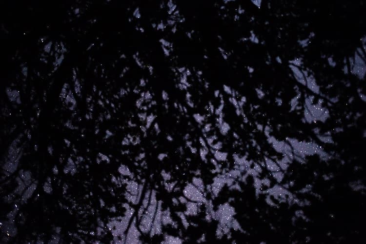 夜は満天の星空を見るべし