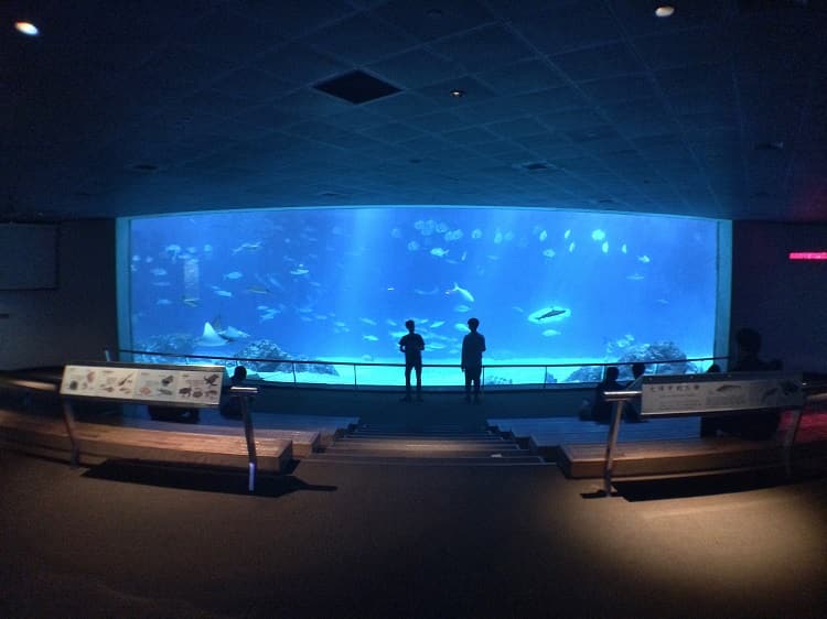 国立海洋生物博物館