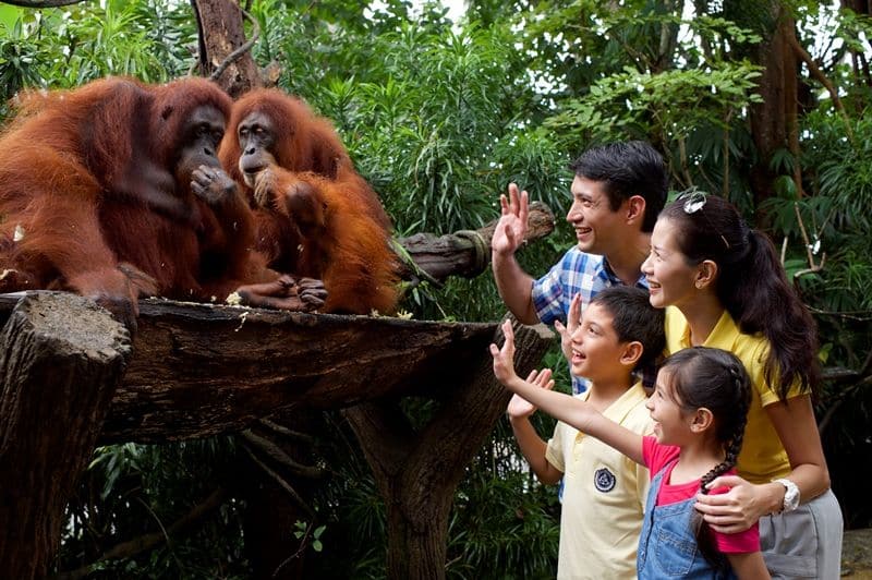 シンガポール動物園とリバーサファリ