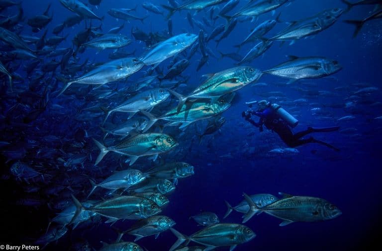 世界の綺麗な海ココ・アイランド（コスタリカ）