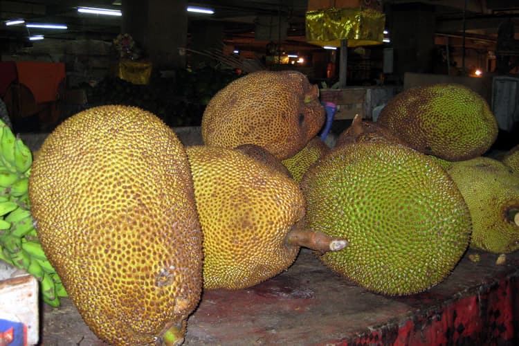 5. ジャックフルーツ（Nangka）