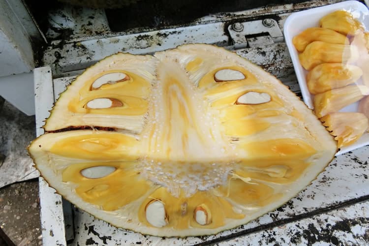 5. ジャックフルーツ（Nangka）
