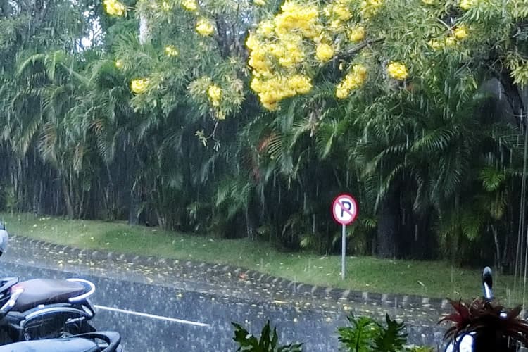 バリ島の雨季っていつ？