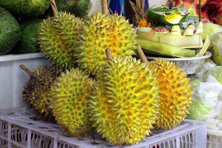 3. ドリアン（Durian）