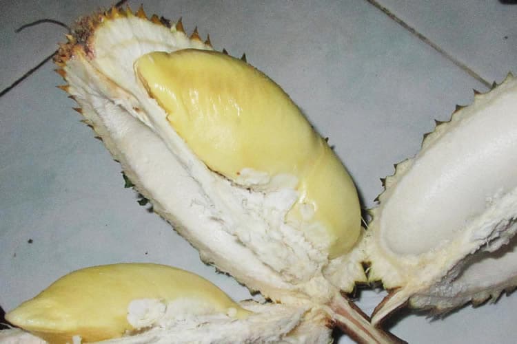3. ドリアン（Durian）
