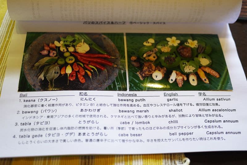 日本語テキストを使ったバリ特有の野菜やスパイスの説明からスタート 