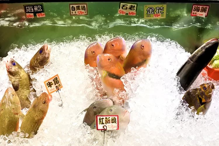 カラフルな魚たち