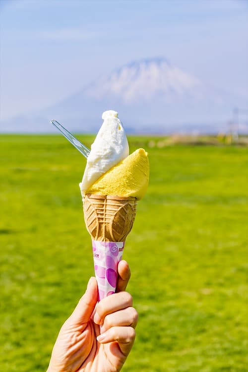 自家製ジェラード