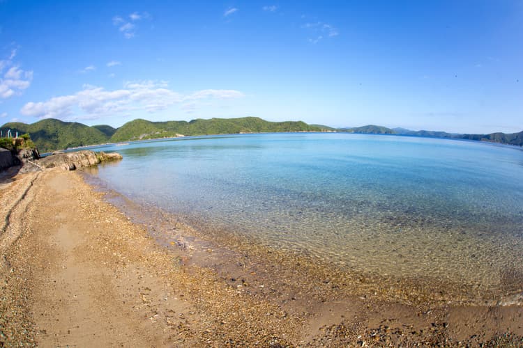 すり浜から3分くらい西に運転したところ