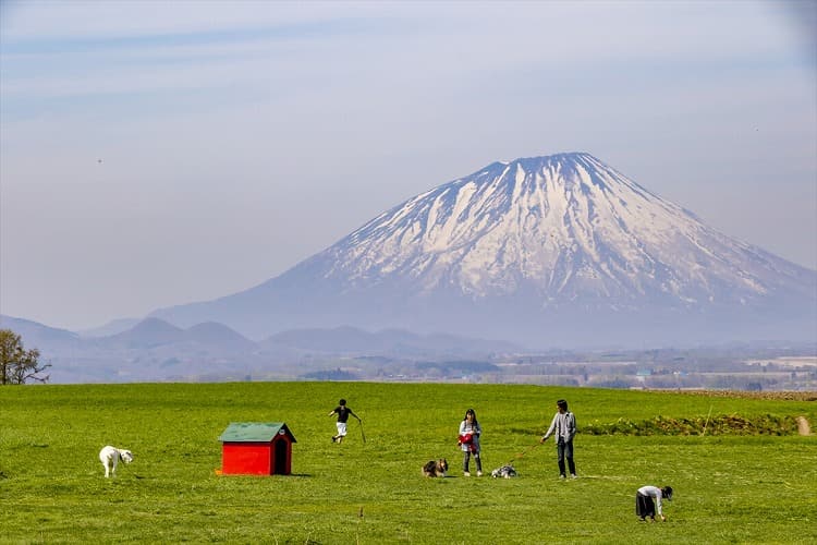 芝生エリア