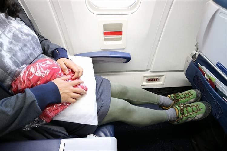 デルタ航空　コンフォートプラス