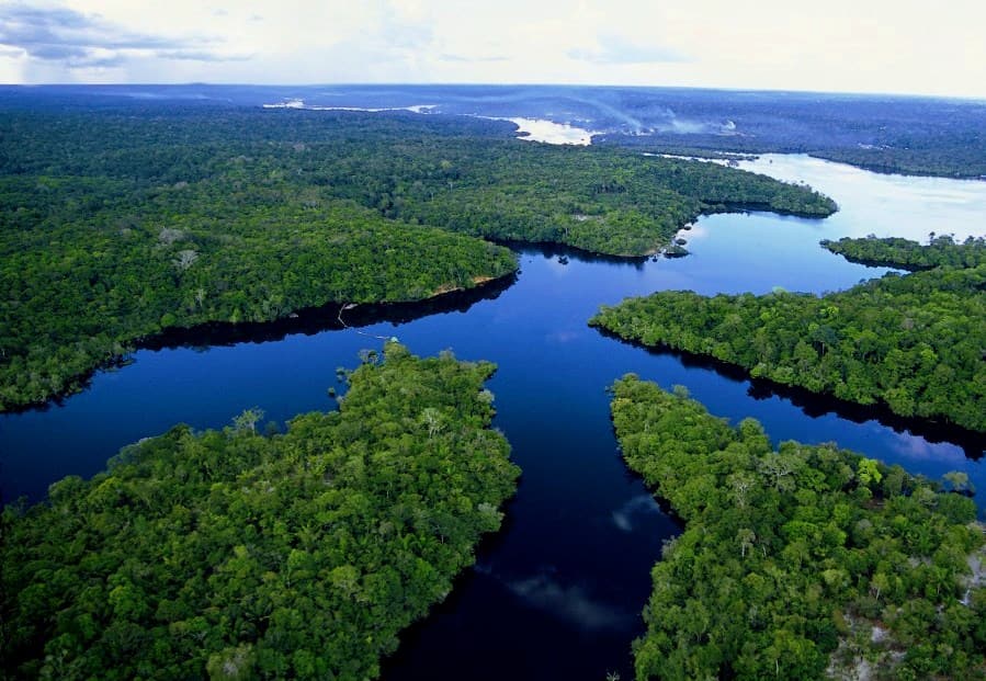 一度は行きたいアマゾン！ブラジルのジャングルでネイチャー体験 Expedia JP Stories