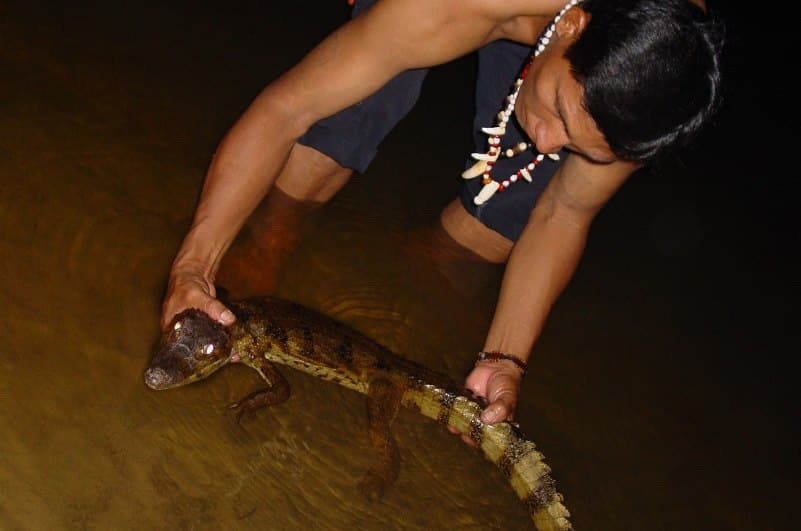 夜のアマゾン川を探検するナイトクルーズ