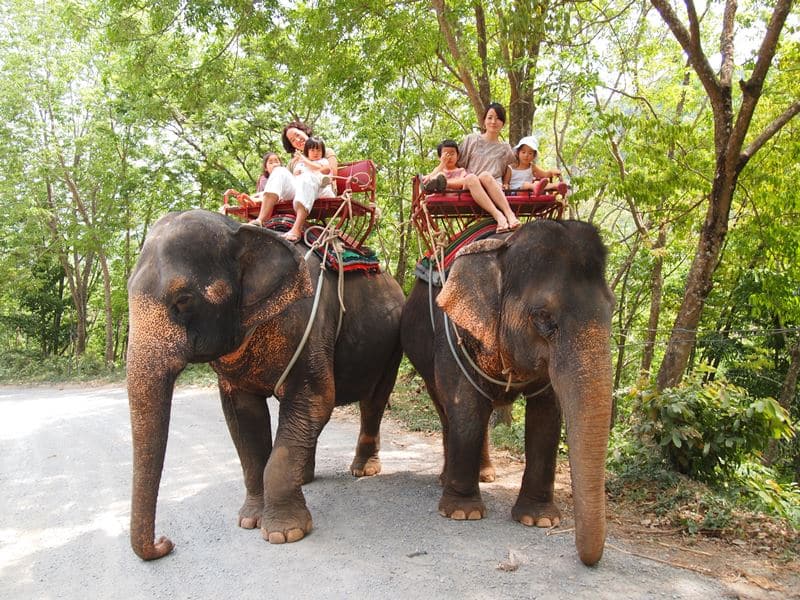 微笑みの国・タイで楽しむ、ストレスフリーな子連れ海外旅行♪