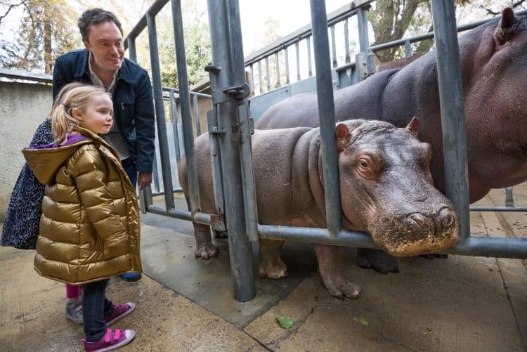 ロサンゼルス動物園