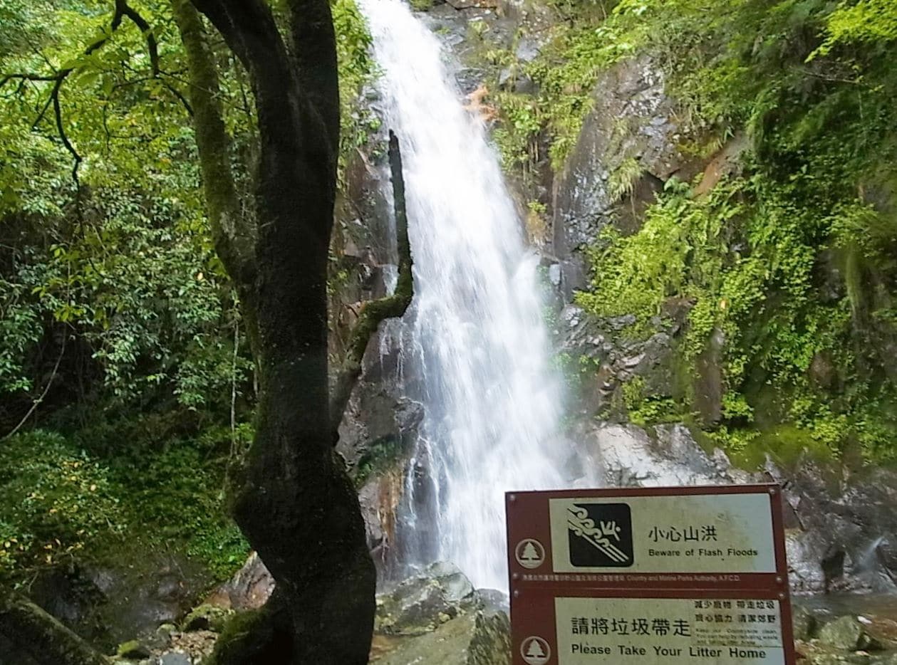 大帽山郊野公園