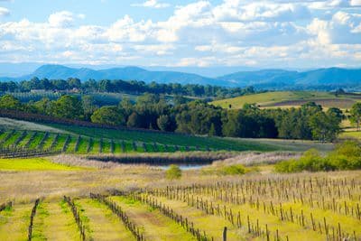 HunterValley2