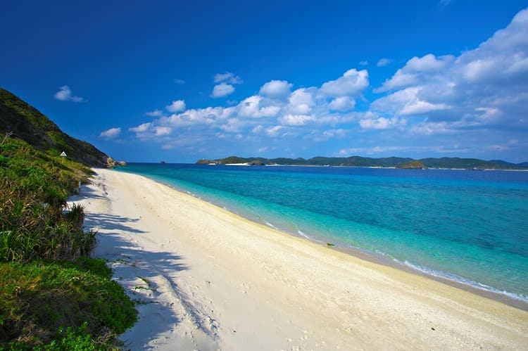 ニシハマ／阿嘉島