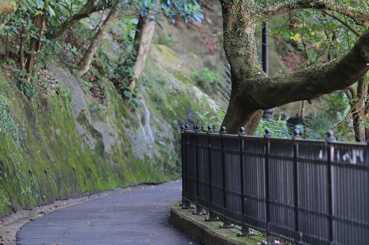 ピーク・トラムの山頂駅のトレッキングコース