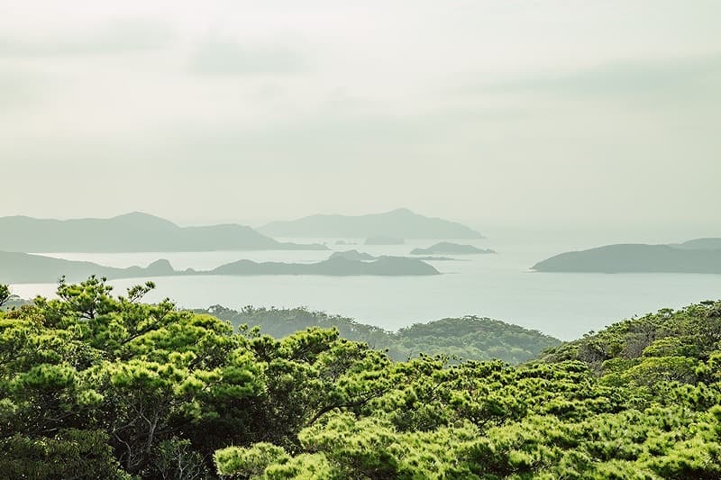 展望台からの絶景