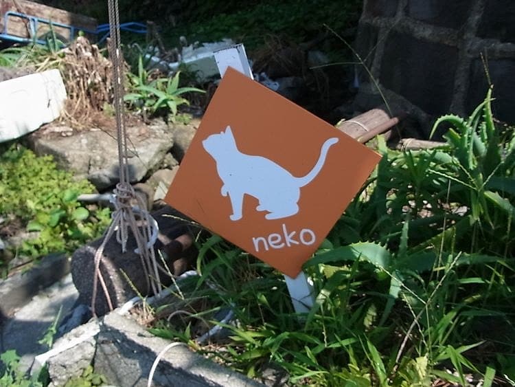 「neko」の立て看板