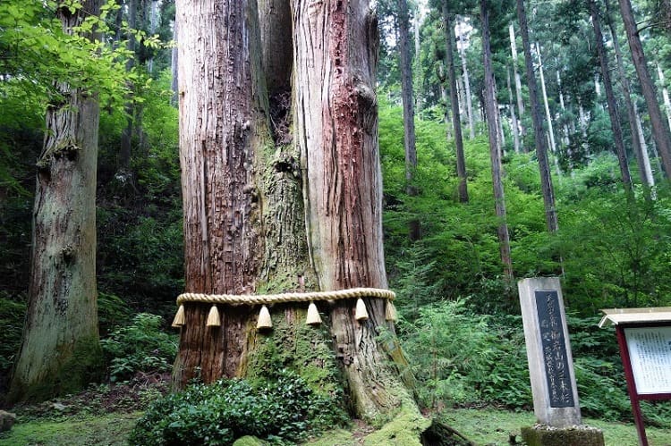 御岩神社