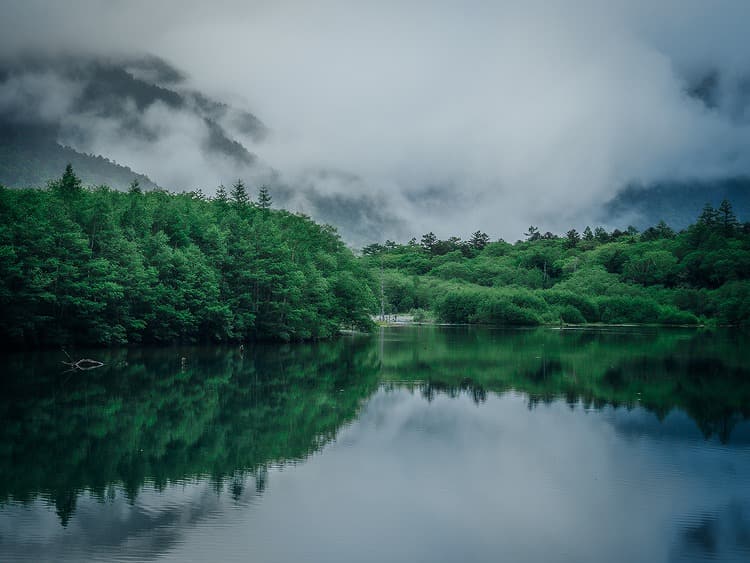 幻想的な光景