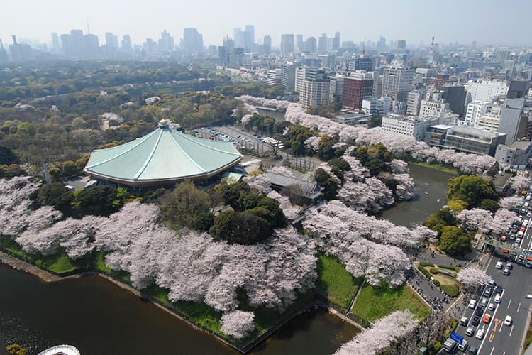 日本武道館