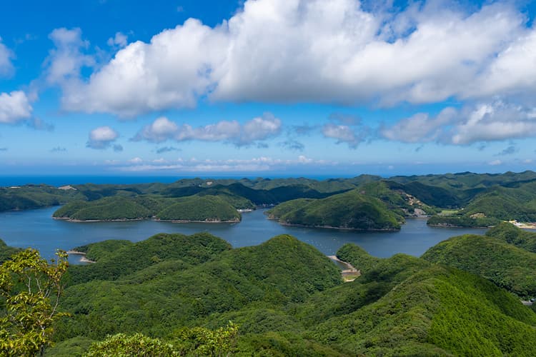 対馬のリアス式海岸を眺められる場所