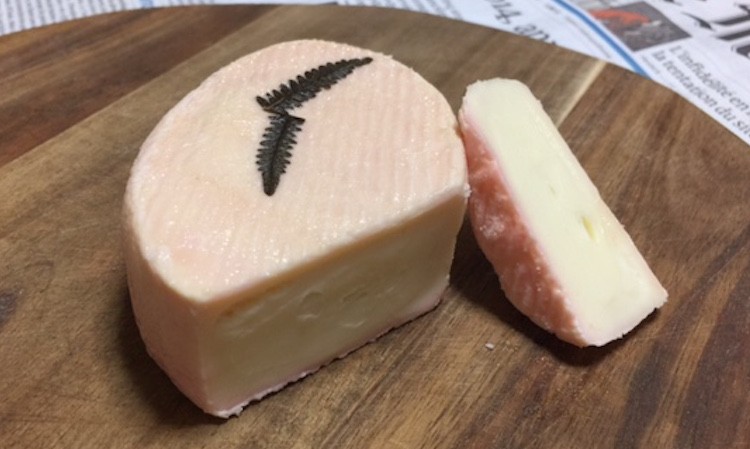 ウォッシュタイプのおすすめチーズ
