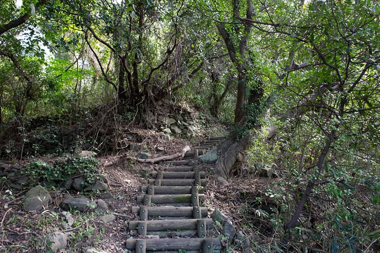 男木島　山中