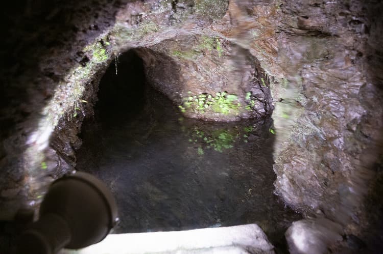湧き出る水