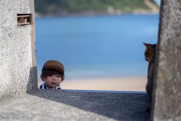 「子供と猫」　