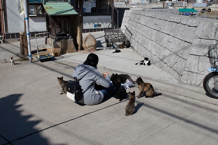 真鍋島