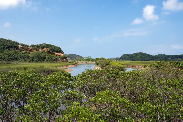 知られざる種子島の絶景を楽しむ<