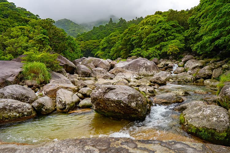 横河渓谷