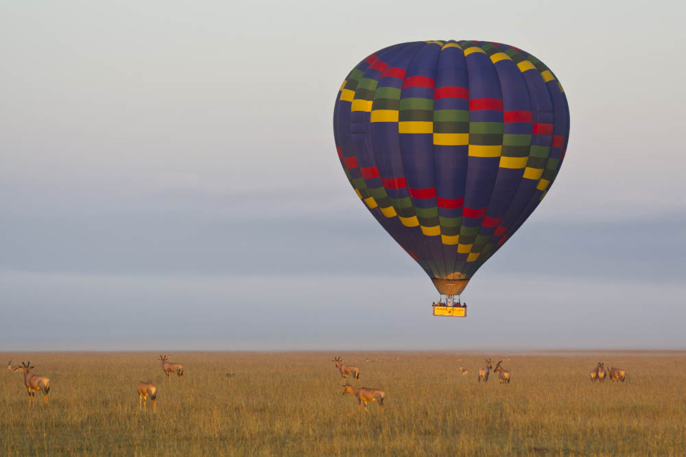 熱気球 (セレンゲティ国立公園 - タンザニア)