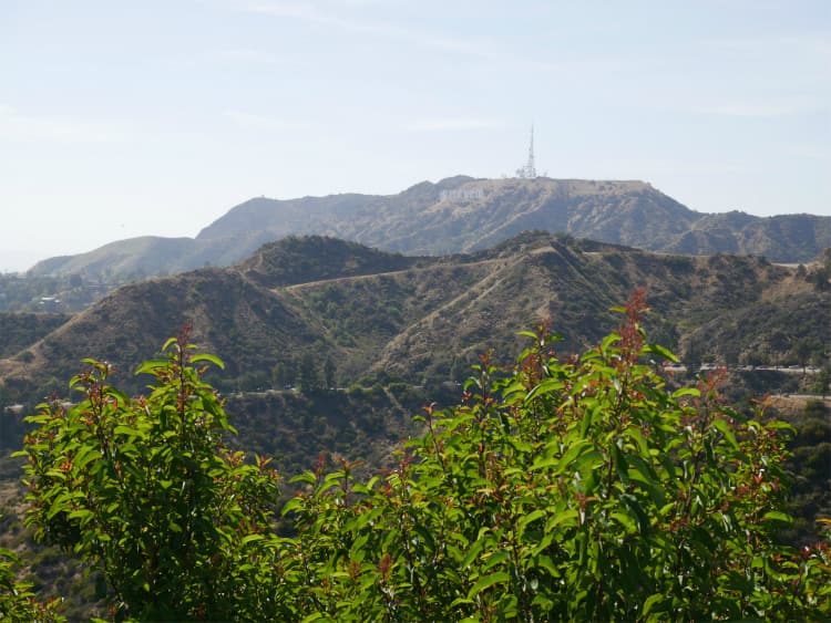 グリフィス展望台からの眺め