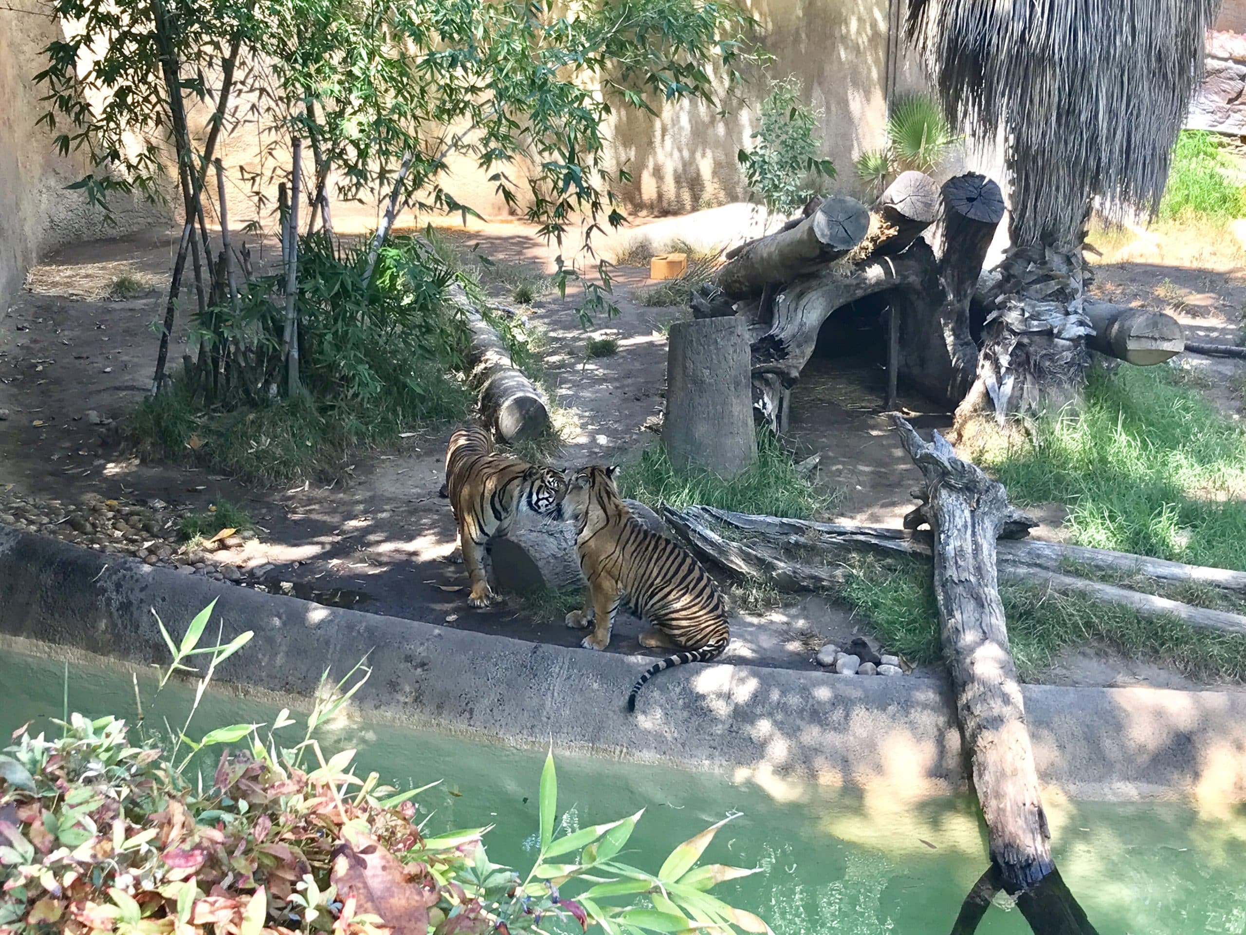 ロサンゼルス動物園