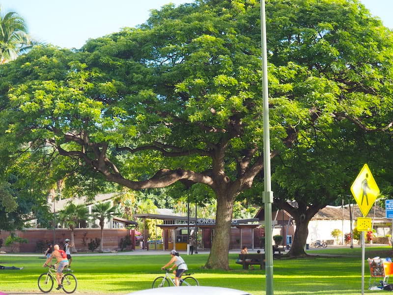 公園