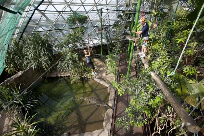 実は少数派！？コアラ抱っこができるオーストラリアの動物園