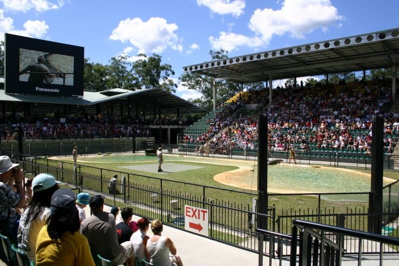 実は少数派！？コアラ抱っこができるオーストラリアの動物園