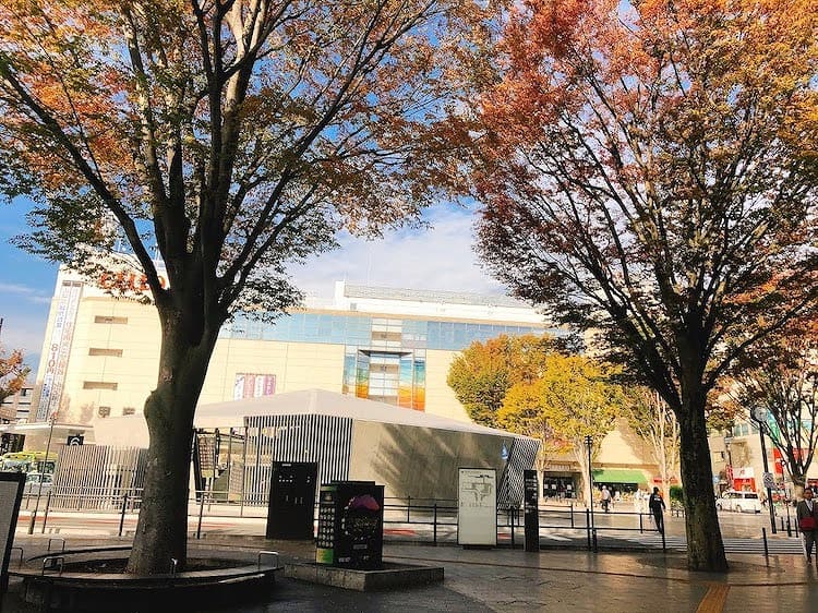 甲府駅の南口