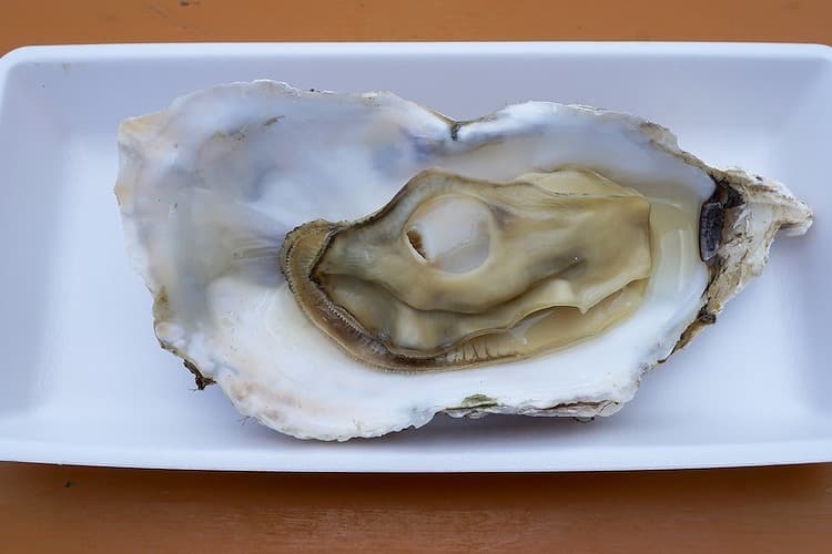 蒸し牡蠣