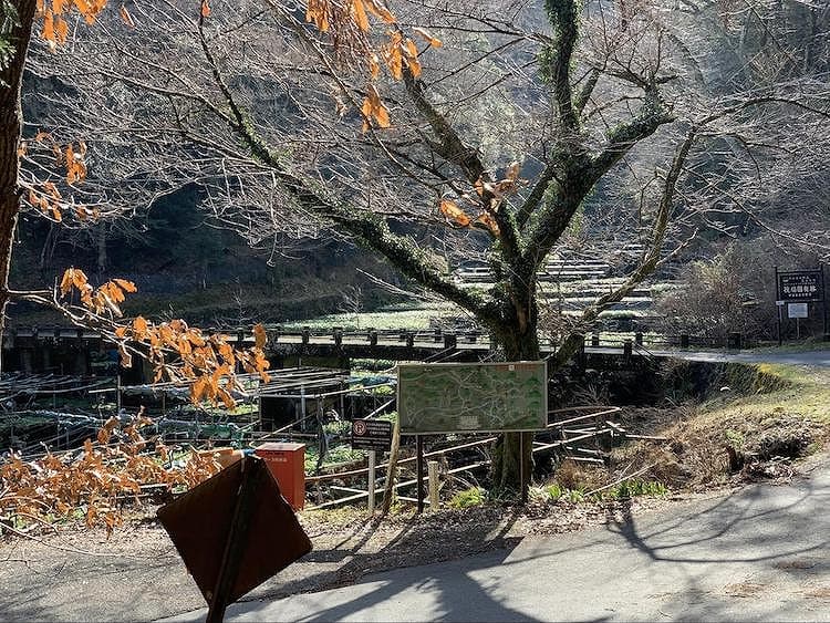 「国士峠（こくしとうげ）」の看板