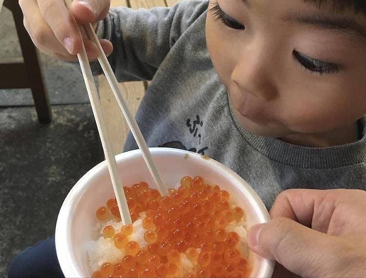 のっけ丼